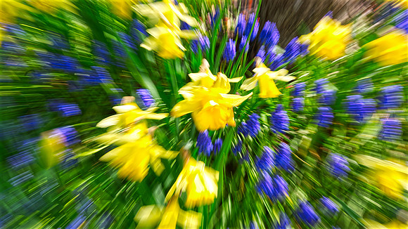 Zoom Into Spring-Norman Mathew