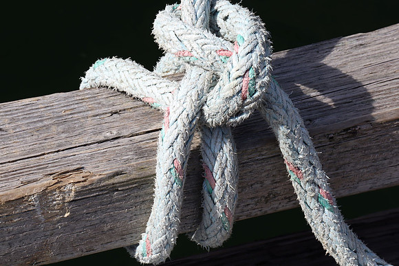 Knot_Gitta Phillips