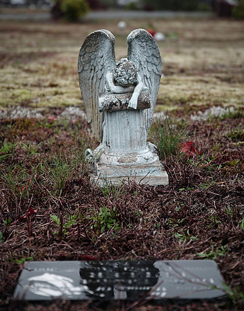 _IMG3477 Sean