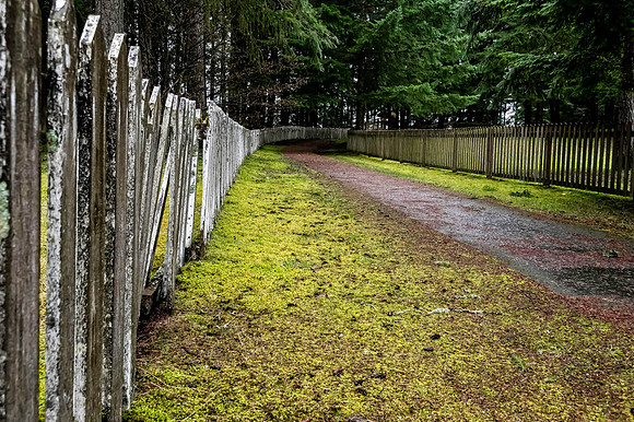 Neal Erickson Entrance Path, Japanese & Chinese Cemetary, Ap.17.2023-13