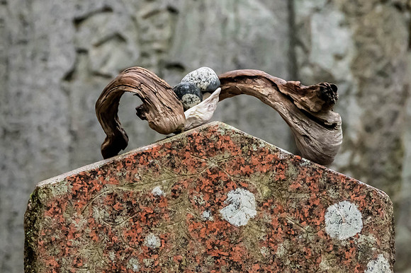 Neal Erickson Detail, Japanese & Chinese Cemetary, Ap.17.2023-18