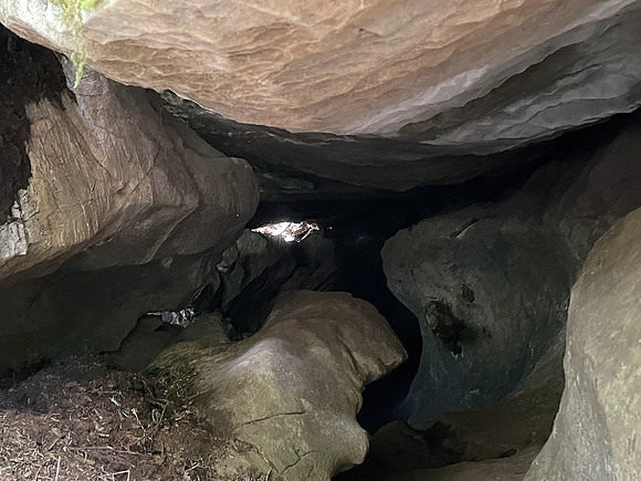 Darrell 03 Cave 1 Insect Cave IMG_6838