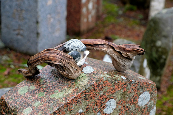 Nature's Gifts-Jenny Houg