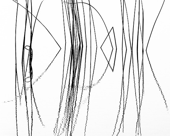 9. Pond Script