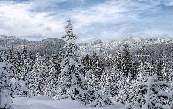 Snow Covered Vista - Katie Hubberstey