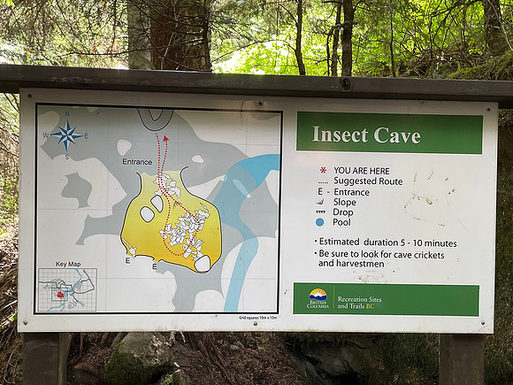 Darrell 1 Cave 1 Insect Cave IMG_6830