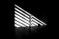 Shadows