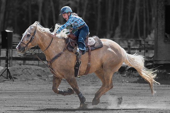 Image #16 - Grit in Gallop