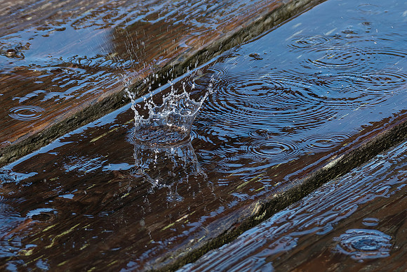 Image #26 - Liquid Crown