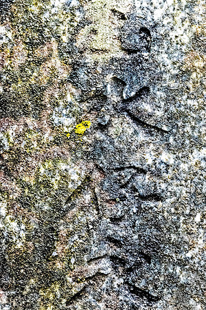 Neal Erickson Chinese Grave Detail, Japanese & Chinese Cemetary, Ap.17.2023-23