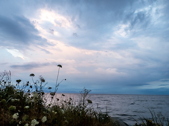 Summer Seascape -  Nimisha Jimenez