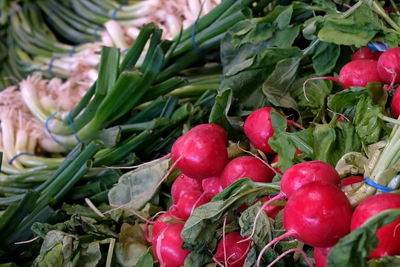 Jenny Houg - Farm Fresh