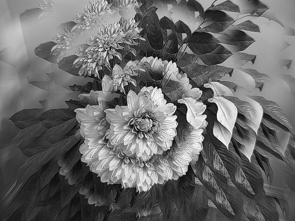 Bev Michaluk-Flower Explosion