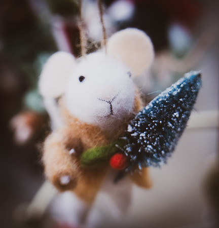 7 Not a creature was stirring...Carol Kujala jpg