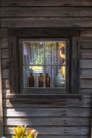 Fernanda Gimenez - Window