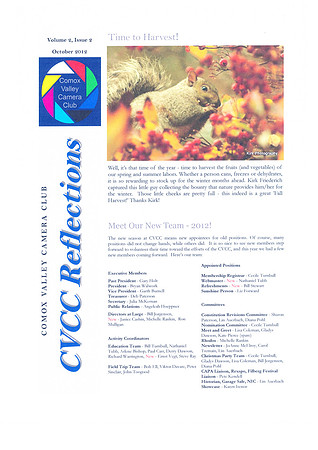 Newsletter-37