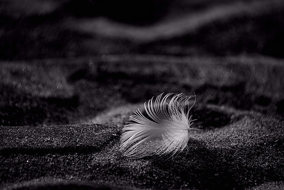Jenny Houg-As Light as a Feather