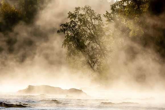 Mists Of Avalon-Neal Erickson