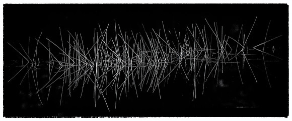 Reeds-Don Tait