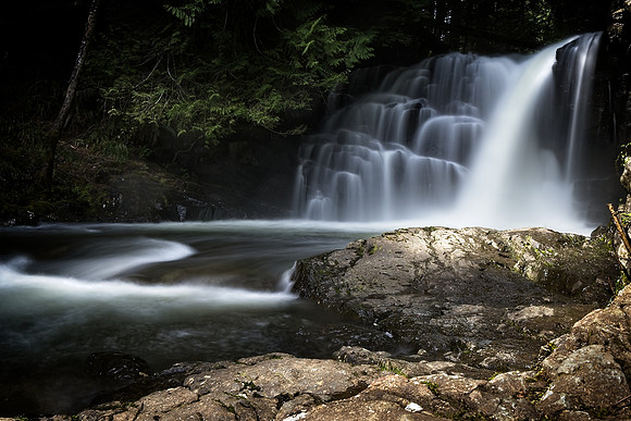 Spring Runoff-Wink Richardson