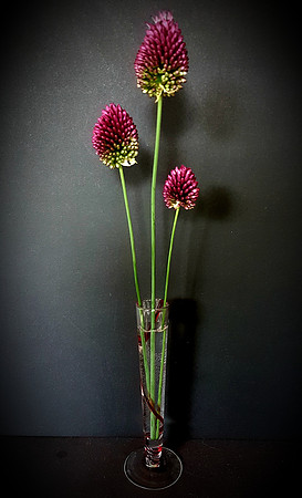 Still Life-Jody Power