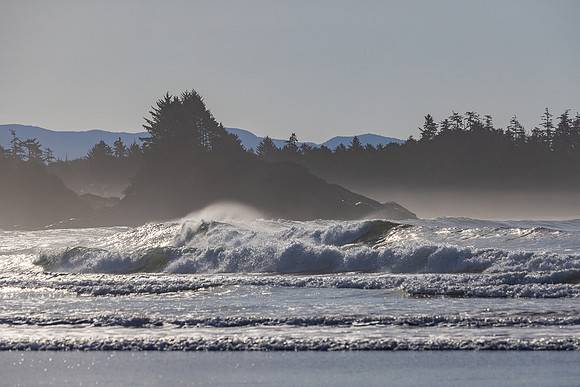 Tofino Morning-Iris Schurz