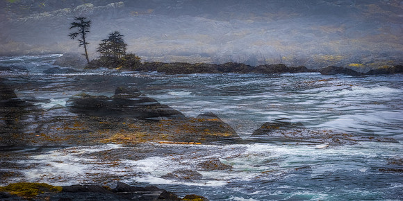 Wild Pacific Shores-Laura Tait