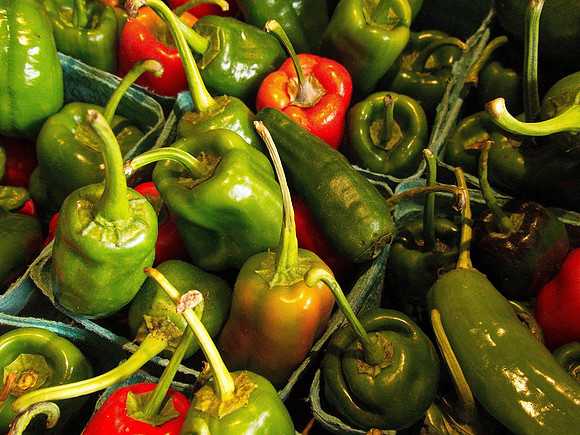 Bill T 2023-10-15 032 Shamrock Farms