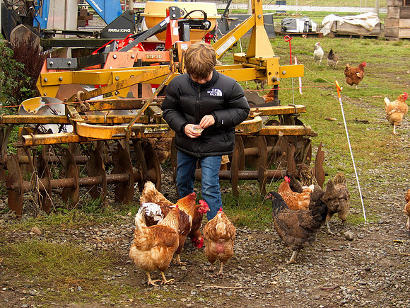 Bill T 2023-10-15 063 Shamrock Farms