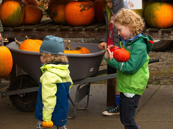 Bill T 2023-10-15 087 Shamrock Farms