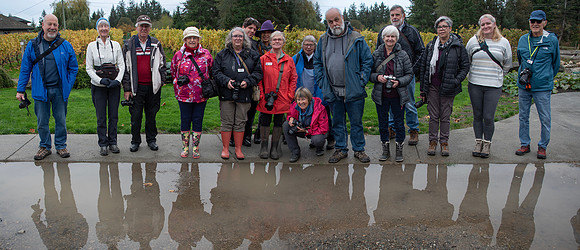 Kerry D puddle