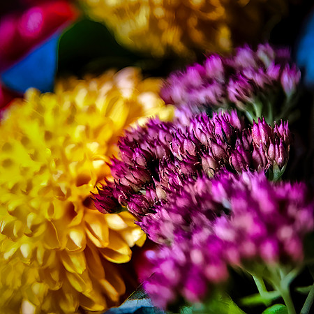 RBurkholder-Flower1