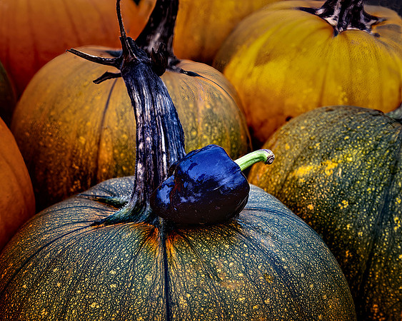 RBurkholder-PumpkinSpice