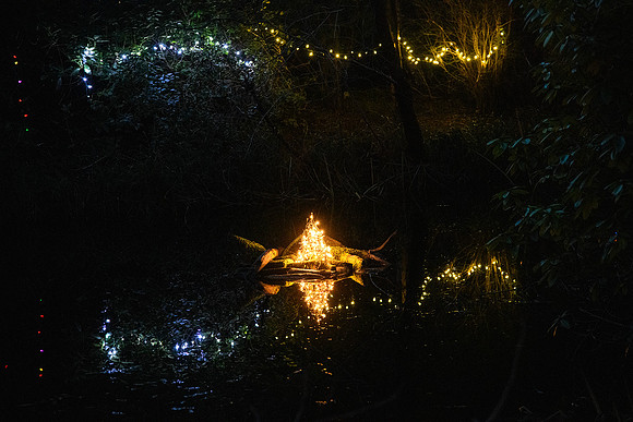 10 Light Fire 12800 - Bob Timbers