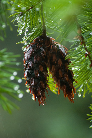 #6