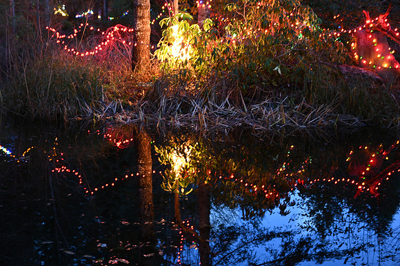 3-long shutter- Julie G.jpg