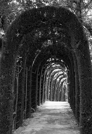 Susan Jardine-Passage