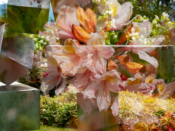 Image Expressions 2.0