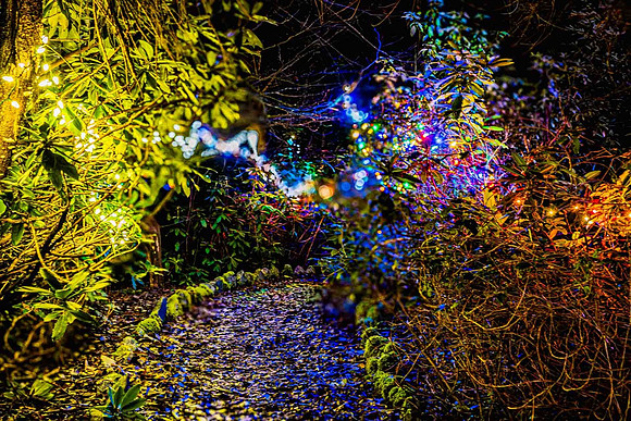 10 ISO 12800 - Jacques Boissonneault