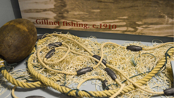 Linda McShane-Gillnet fishing.jpg