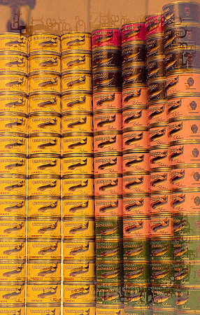 10-Jessica O'Connell Cans in Emulsion