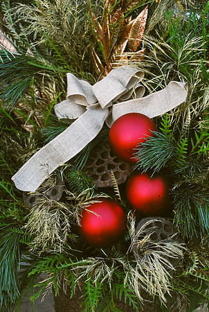 2 Decoration Susan Jardine jpeg