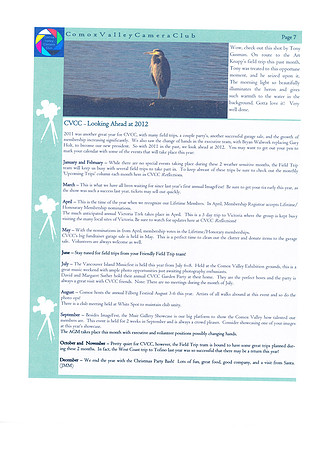 Newsletter-19