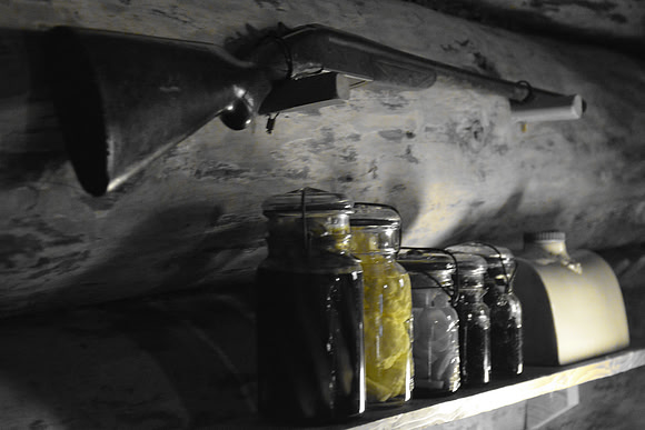 Annie Troy - In a Pickle