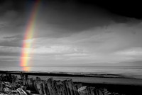 Amit Bakshi - Rainbow