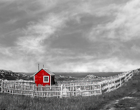 SECOND PLACE - Neal Erickson - Newfoundland Shed