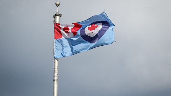 Linda McShane-Flag