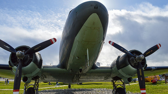 Linda McShane-Propeller Plane