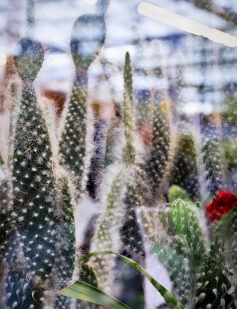4 Multiple Exposure Sean OConnell