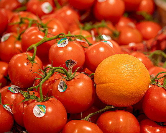 Jim Whyte I Want to be a Tomato
